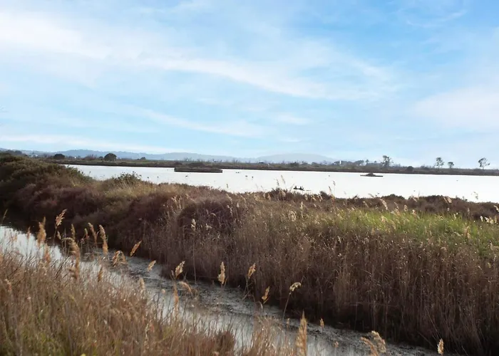 Port De La Gavine-24 By Interhome Hyères